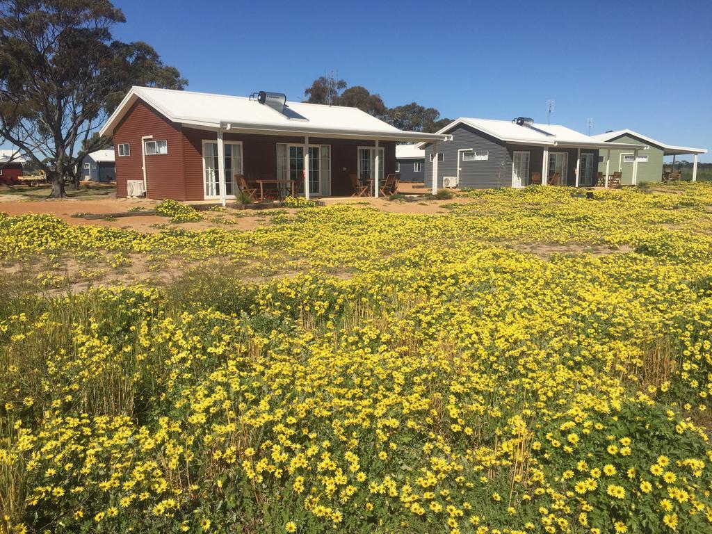 Mary'S Farm Cottages Kukerin Esterno foto